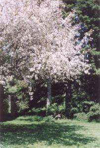 spring 2003
